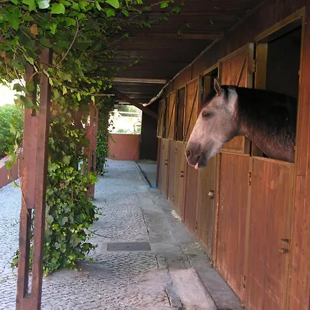 Quinta Tagus Costa de Caparica