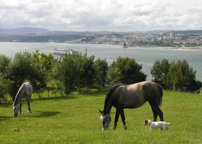 Szálloda Quinta Tagus 5*